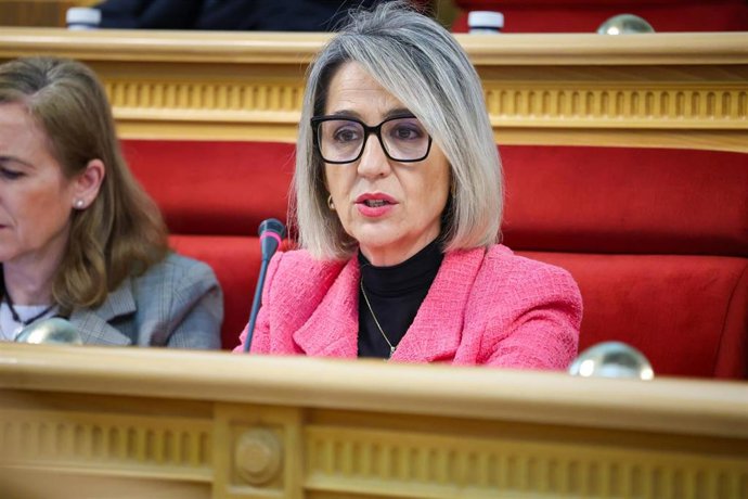 Archivo - La presidenta de Vox en el Ayuntamiento de Toledo, Inés Cañizares.