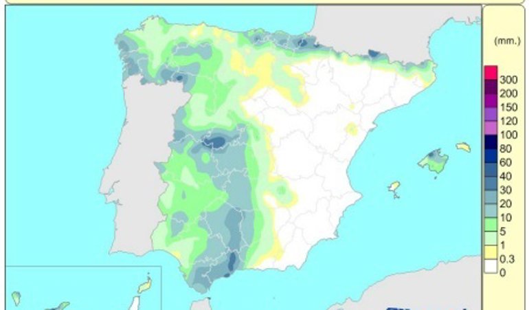 Sociedad