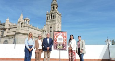 Diputación de Sevilla