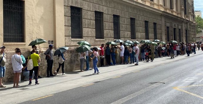 Archivo - Imagen de ciudadanos en la cola del padrón de València con paraguas verdes para protegerse del sol