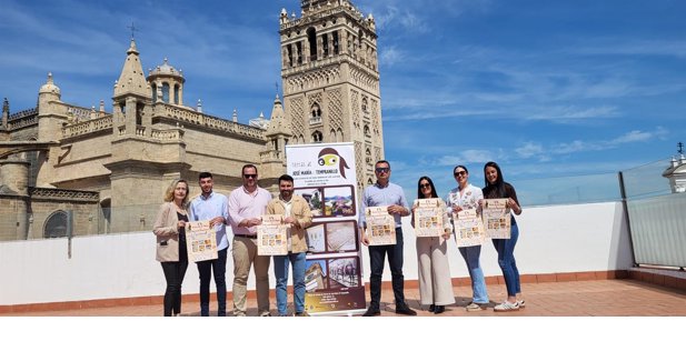 Diputación de Sevilla