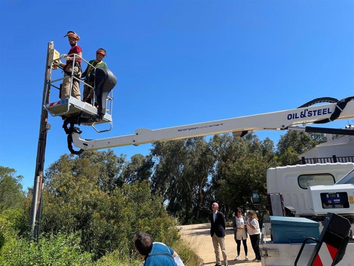 El Servici de Devesa-Albufera instal·la més de 80 refugis per a ratpenats