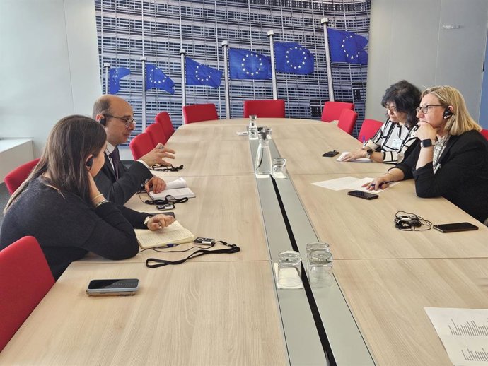 Isabel Blanco en una de las dos reuniones mantenidas en Bruselas sobre la Estrategia Intergeneracional.