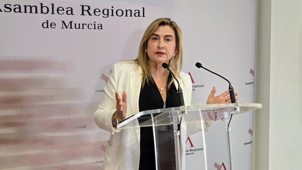 La portavoz del Grupo Parlamentario Socialista, Carmina Fernández