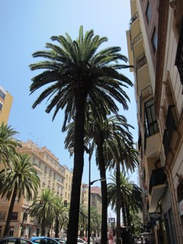 Andalucia