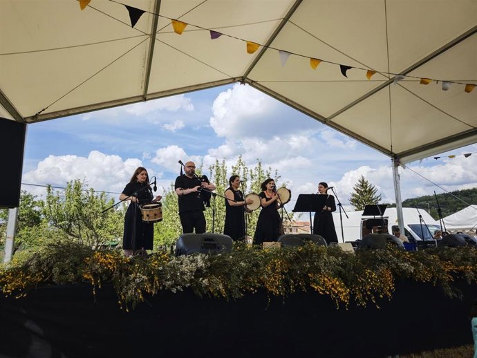 El Instituto Leonés de Cultura (ILC) de la Diputación Provincial ha publicado las bases de las convocatorias destinadas a los festivales y a las asociaciones culturales de la provincia.