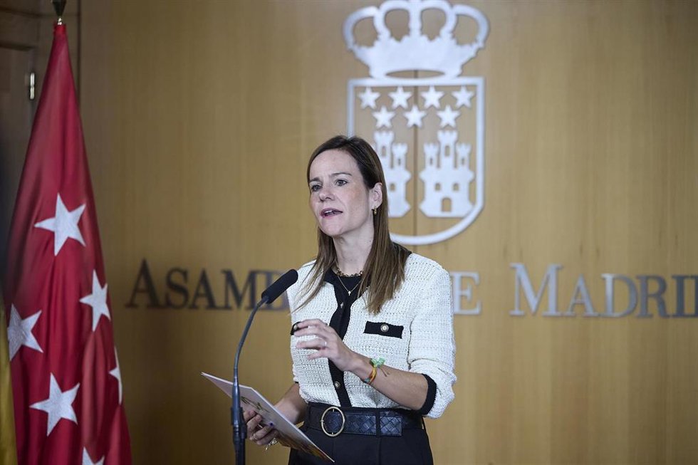 Archivo - La portavoz de VOX en la Asamblea, Isabel Pérez Moñino