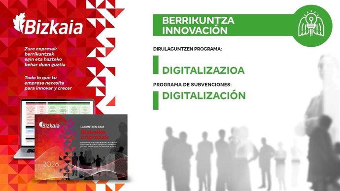 Ayudas a la digitalización de la Diputación Foral de Bizkaia a pymes