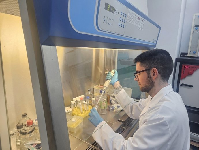 Un equipo de investigadores del grupo Biotecnología Molecular del área de Bioquímica y Biología Molecular de la Universidad de Cádiz.