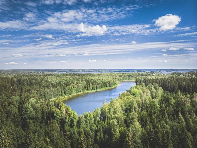 Bosques y lagos en la región de Tampere, Finlandia