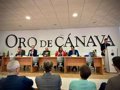 La Junta resalta la excelencia del olivar de Jaén como "un pilar económico y social" de Andalucía