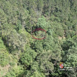 El Grupo de Rescate de la Junta de Castilla y León auxilia a un parapentista herido en Arenas de San Pedro (Ávila)