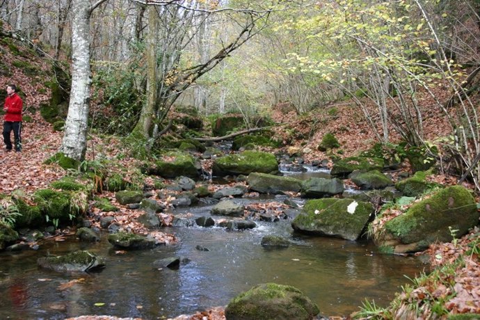 Archivo - Monte Hijedo.