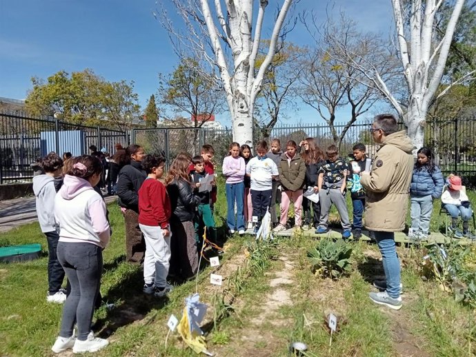 Participantes de uno de los centros escolars que disponen de huerto durante uno de los encuentros.