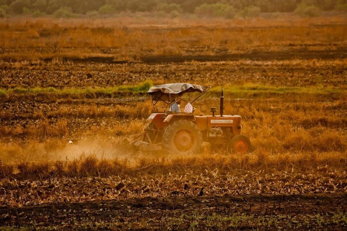 Archivo - Tractor trabajando en el campo