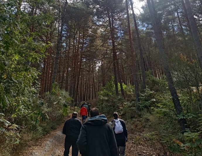 Expertos de PlanForLab en el bosque laboratorio de El Bierzo (León), en Vega de Espinareda.