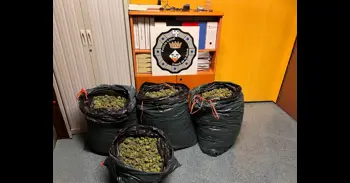 Detienen a un hombre en Cassà de la Selva (Girona) con 79 kilogramos de cannabis