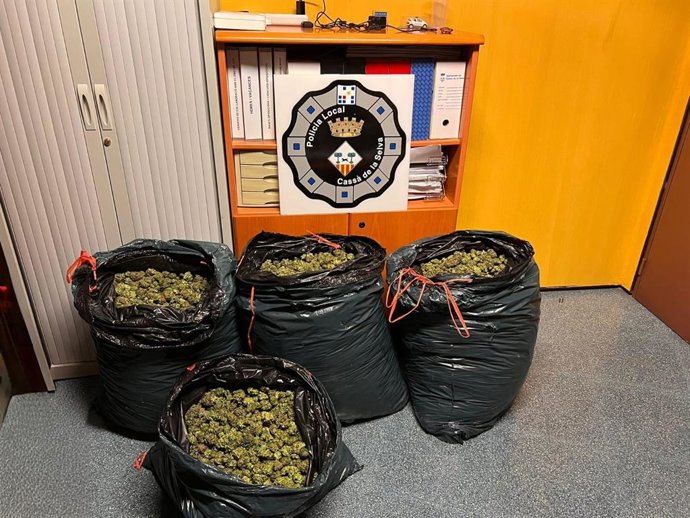 La Policía Local de Cassà de la Selva decomisa 79 kilogramos de cannabis