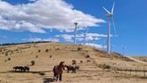 Foto: Solarig supera 1 GW en operación y mantenimiento de parques eólicos y amplia actividades a Latinoamérica