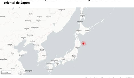 notibrasil sociedade