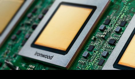 notibrasil sociedade