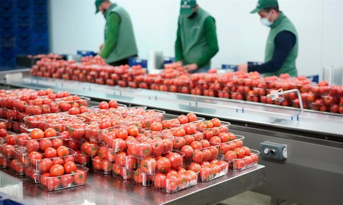 Planta de procesamiento de tomates para supermercados.