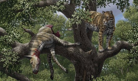 notibrasil sociedade