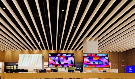 notibrasil sociedade