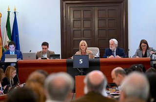 Una imagen del Pleno del Ayuntamiento de Jerez de la Frontera (Cádiz)