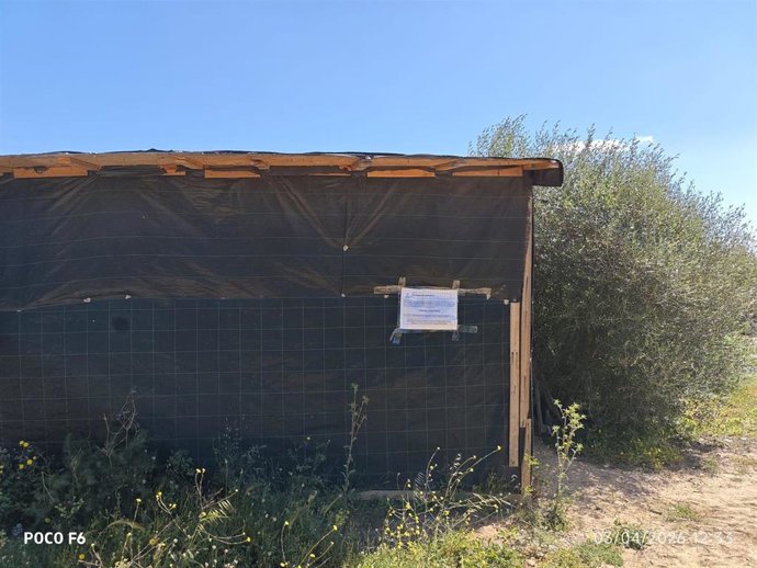 Una de las chabolas levantadas en el asentamiento de sa Joveria de Eivissa.