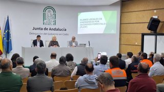 La delegada de la Junta de Andalucía en Cádiz, Mercedes Colombo, presidiendo una reunión de trabajo sobre planes locales de incendios forestales