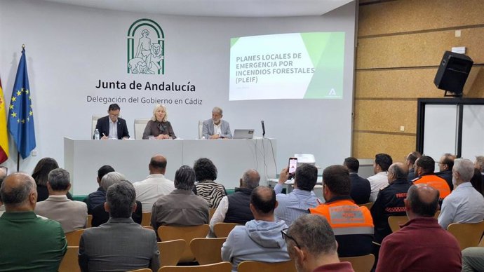 La delegada de la Junta de Andalucía en Cádiz, Mercedes Colombo, presidiendo una reunión de trabajo sobre planes locales de incendios forestales