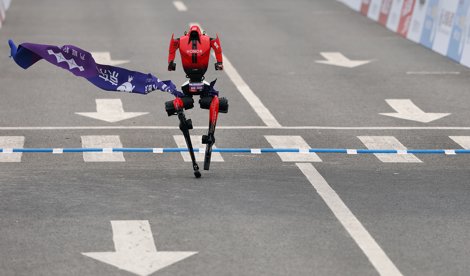 notibrasil sociedade