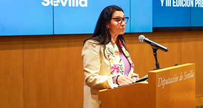 Diputación de Sevilla