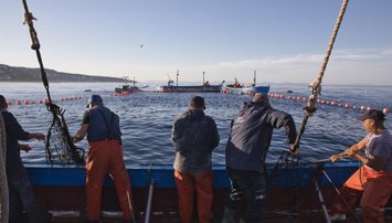 Es Andalucía - Sevilla