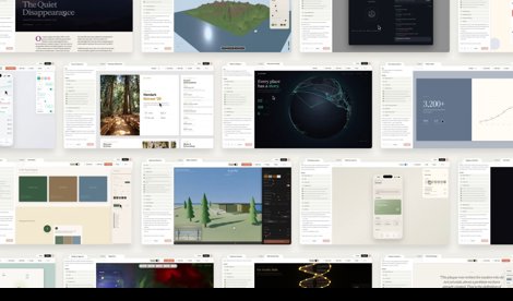 notibrasil sociedade