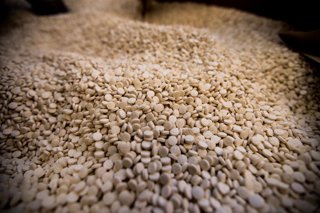 Archivo - Italy, Salerno - July 1, 2020.IItalian police - Guardia di Finanza - have seized a world record 14-tonne of amphetamines made by the Islamic State group in Syria. The drug is one billion Euro worth and is in form of 84 million Captagon tablets. 