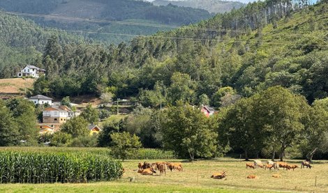 Asturias Rural
