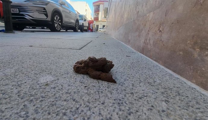 Archivo - Deposión canina en la vía pública.