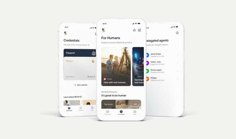 notibrasil sociedade