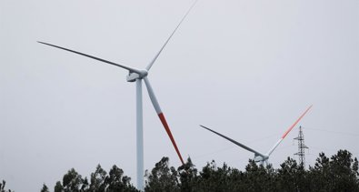 Energía y Medio Ambiente