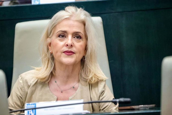 La concejala del Grupo Municipal Socialista Ana Lima durante el Pleno de Cibeles