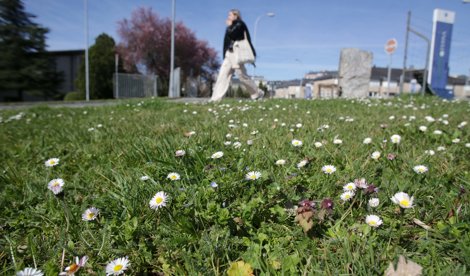 notibrasil sociedade