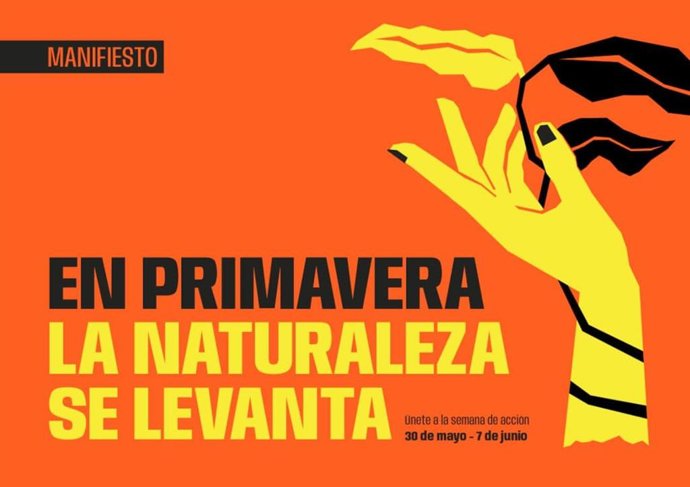 Más de 100 ONG ecologistas piden "objetivos ambiciosos y medidas eficaces" para la restauración de ecosistemas.