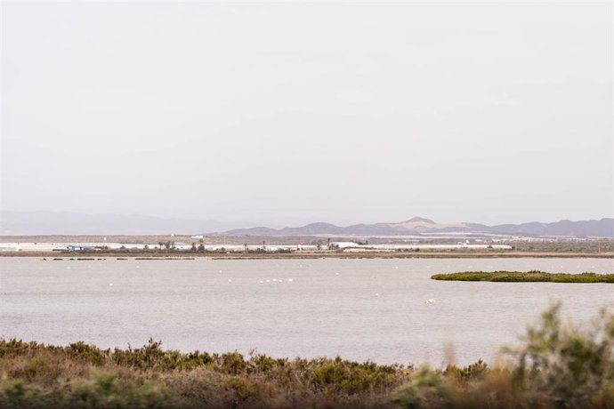 Archivo - Imagen del paraje de las Salinas de Cabo de Gata.  