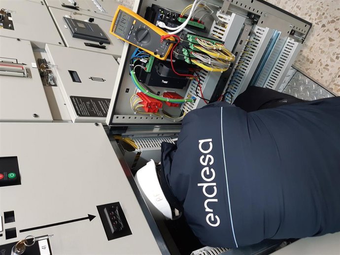 Técnico de Endesa.