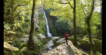 El rugido del agua: tres cascadas mágicas para descubrir el corazón verde de Asturias