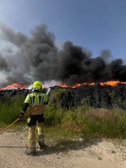 Incendio en Almonte en la tarde del lunes.