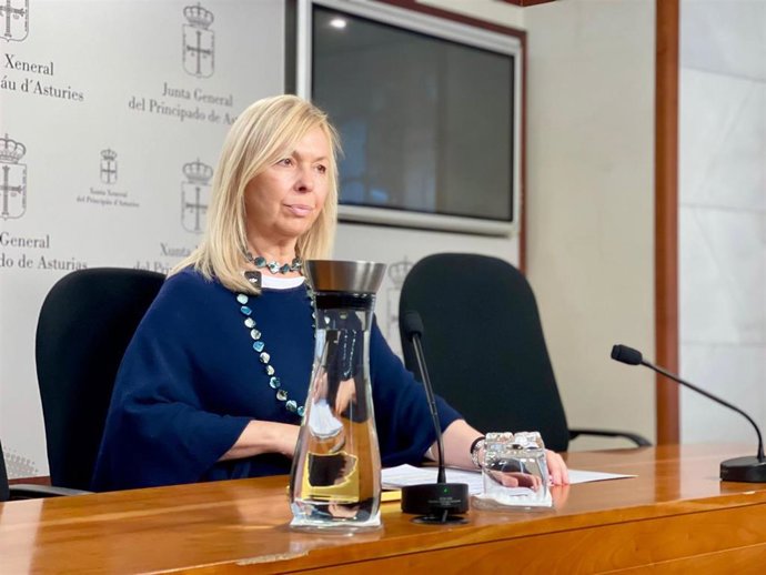 La diputada de Vox Asturias Sara Álvarez Rouco durante la rueda de prensa de este martes en la Junta General.