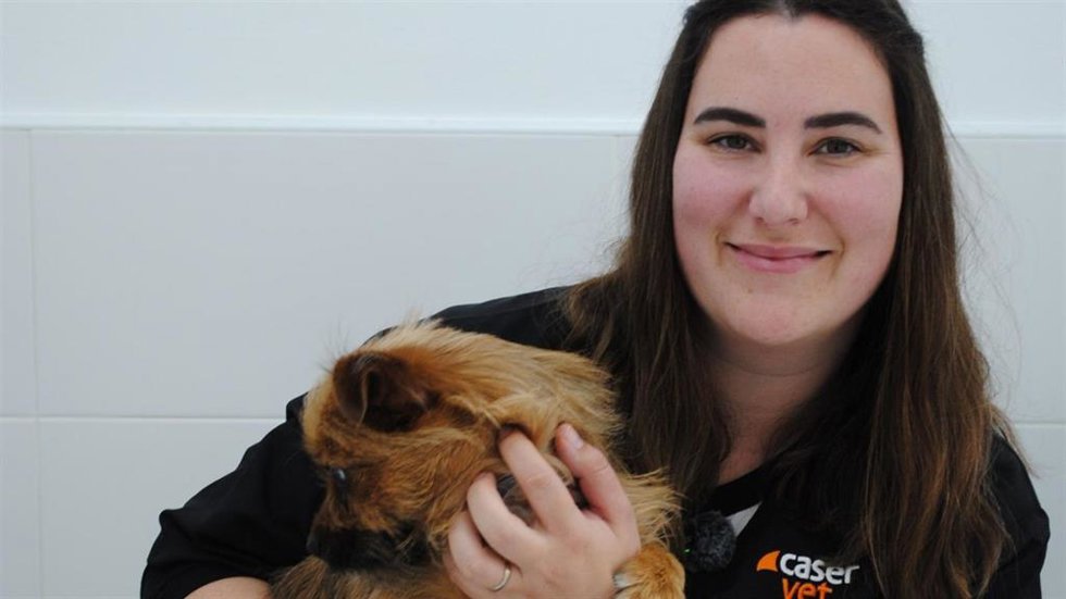 Caservet recomienda revisar requisitos administrativos y sanitarios para viajar con mascotas ante el nuevo marco europeo